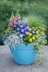 Sun May 31  Spring Porch Pot 12 noon at Hardwick Winery  260531121